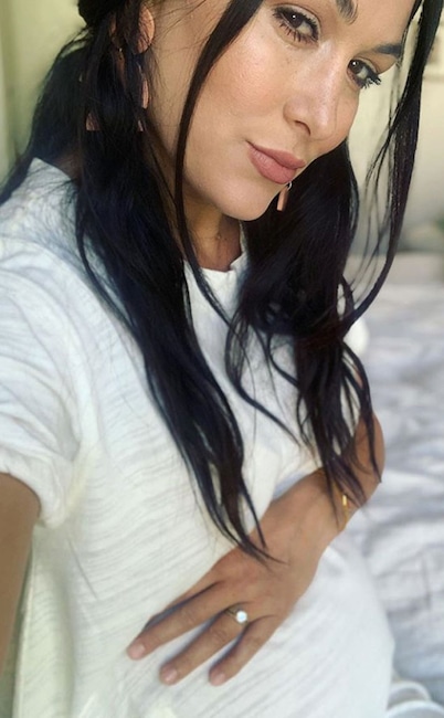 Brie Bella, Instagram